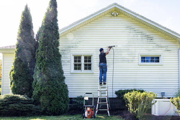 Best Roof Power Washing Services  in Sewanee, TN